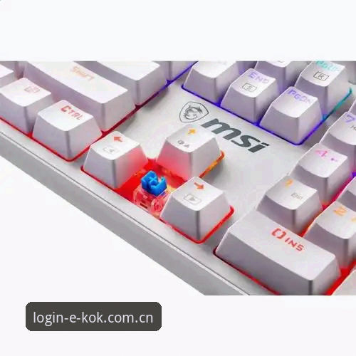 中欧登录入口下载深度对比：KOK CN APP新版vs传统赛程追踪模式